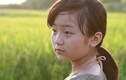 Tiết lộ thú vị về “cô dâu 10 tuổi phiên bản Việt“