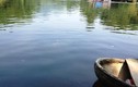 Vụ cá chết trên sông Bưởi: Kiểm tra hàng loạt nhà máy