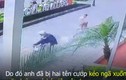 Video: Kinh hoàng “cẩu tặc” cướp chó, kéo lê chủ cả chục mét