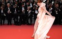 Khoảnh khắc gây tranh cãi trên thảm đỏ khai mạc LHP Cannes