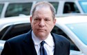 Harvey Weinstein lên tiếng về hành vi cưỡng hiếp tình dục