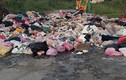 Tìm thấy túi đựng 80 triệu sau khi đào bới 5 tấn rác