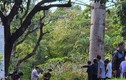 Đắk Lắk: Người đàn ông tử vong dưới gốc cây, cạnh đài liệt sĩ