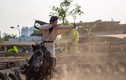 Người trẻ Hà Nội chi tiền triệu mặc cổ phục, học cưỡi ngựa, bắn cung