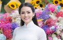 Cuộc sống của Hoa hậu Bích Hạnh ra sao sau một năm đăng quang?
