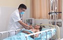 Ăn cá nóc, 3 ngư dân ở Quảng Nam bị ngộ độc nguy kịch