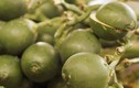 3 loại trái cây chớ ăn vì dễ “đánh thức” tế bào ung thư