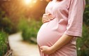 Phụ nữ suy buồng trứng làm thế nào để nhanh có thai?