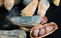 Những thứ trong nhà bếp “ẩn nấp” độc tố aflatoxin gây ung thư