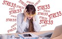 Bí quyết đối phó stress của các nhà lãnh đạo