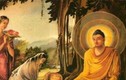 Phật dạy: Ai làm được 3 việc này, cả đời được hưởng phúc ấm