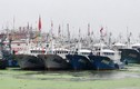 Âm mưu đằng sau lệnh cấm đánh bắt cá mùa hè của Trung Quốc