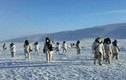 Bắc Cực – “điểm nóng” mới của thế giới?