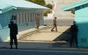 Triều Tiên sụp đổ có lợi cho Đông Bắc Á?