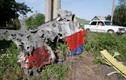 Chuyên gia Đức: MH17 bị Su-25 bắn vào buồng lái?