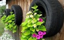 Những ý tưởng biến lốp xe cũ thành vườn xinh