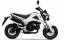 Honda MSX 125 giá 70 triệu đồng sắp trình làng VN