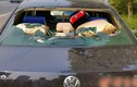 30 xe bị đập vỡ cửa kính, trộm đồ trong 1 đêm