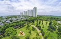 Khu đô thị Ecopark hứng mưa giải thưởng quốc tế