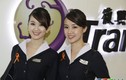 Dàn tiếp viên xinh đẹp hàng không Đài Loan TransAsia 