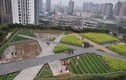 Kinh ngạc trang trại khổng lồ trên nóc nhà ở Trung Quốc