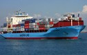 "Mổ" tàu chở container khủng vừa cập cảng Hải Phòng