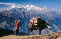 Tiết lộ những bí mật gây choáng về Nepal