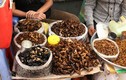 Những khu chợ côn trùng nổi tiếng rùng rợn