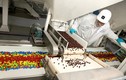 Lộ dây chuyền sản xuất kẹo bán chạy nhất thế giới