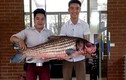 Bắt được cá Hô quý hiếm hơn 30kg ở Tây Nguyên