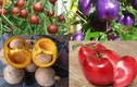 Những giống táo độc lạ khiến người tiêu dùng mê mẩn