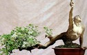 Những chậu bonsai hình thù siêu kỳ lạ