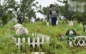Nhà giàu Trung Quốc bỏ hàng nghìn USD mua đất chôn cất thú cưng