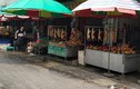 Những hình ảnh rợn người ở chợ thịt 300 con chó/ngày