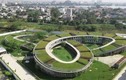 Trường mầm non Việt lọt top 30 công trình đẹp nhất thế giới