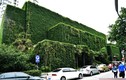 Trường đại học phủ cây xanh mát ở Trung Quốc