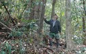 Dũng sĩ săn Fulro một thời giờ hóa “người rừng” 