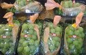 Những giống nho nhập ngoại gây sốt thị trường Việt