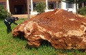 Cận cảnh tảng đá 20 tấn nghi khoáng sản cực quý ở Lâm Đồng