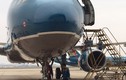 "Mổ" dòng máy bay của Vietnam Airlines bị chim trời làm hỏng