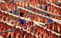 Ấn tượng cảnh dân Trung Quốc phơi đùi lợn xông khói chuẩn bị Tết