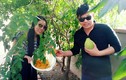 Thăm vườn hoa trái sai trĩu của các sao nam Việt