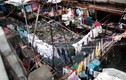 Bộ ảnh gây sốc về khu ổ chuột rách nát ở Manila