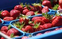 12 loại hoa quả bị nhiễm nặng thuốc trừ sâu Mỹ vừa công bố