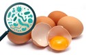 Thu hồi 200 triệu quả trứng gà vì nghi nhiễm khuẩn gây tử vong ở người