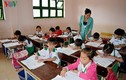 Vụ cắt hợp đồng hơn 1.400 giáo viên Cà Mau: Nỗi lo người mất việc