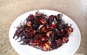 Kinh hãi với món đặc sản từ bọ hung ở Nghệ An