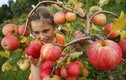 5 thực phẩm mùa thu có lợi ích sức khỏe tinh thần