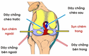 Chấn thương rách sụn chêm như Văn Toàn nguy hiểm ra sao?
