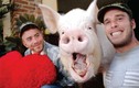 Chú lợn nặng 300kg nổi tiếng nhất thế giới sống cùng nhà với chủ nhân